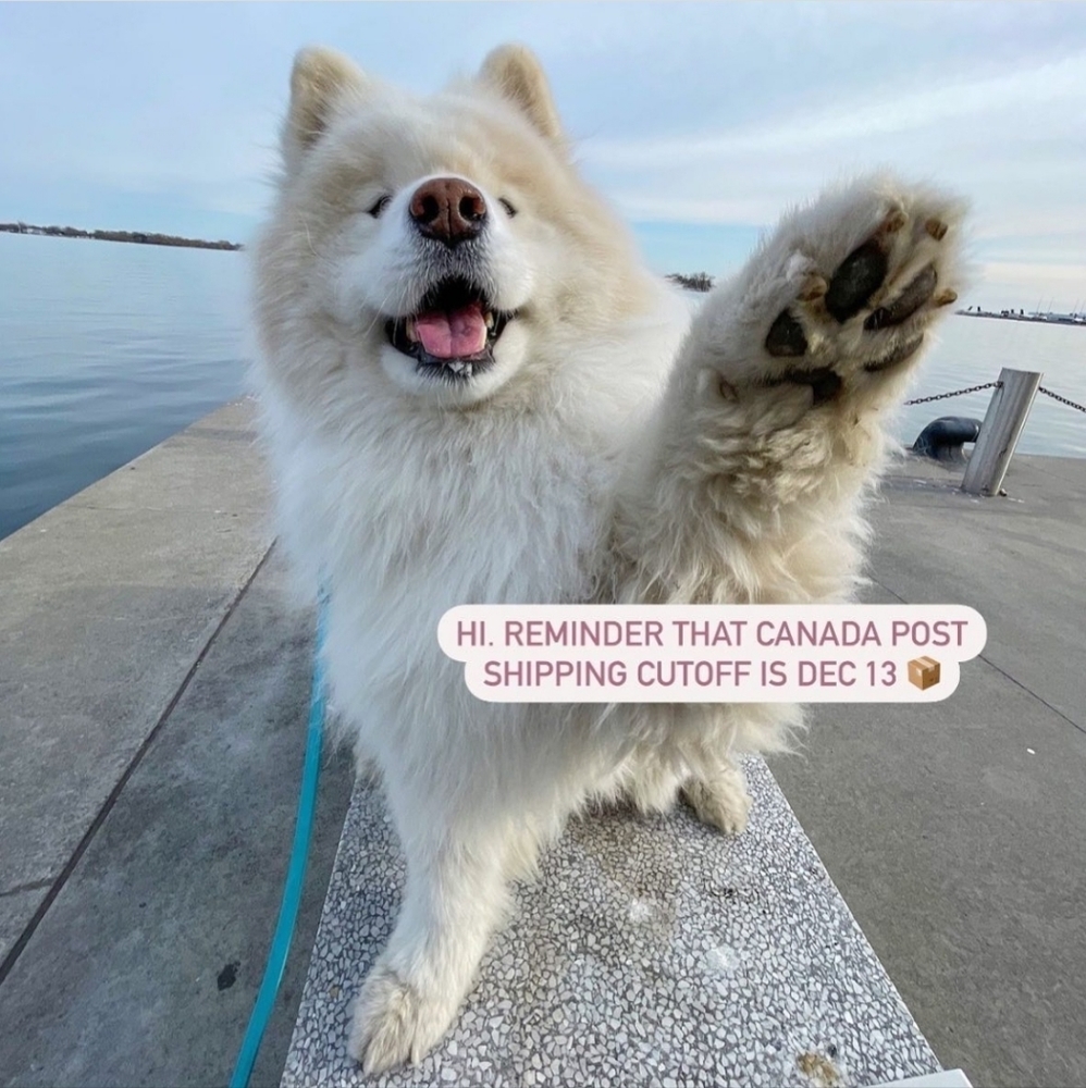 🚨Canada Post Shipping Cutoff Dec 13th